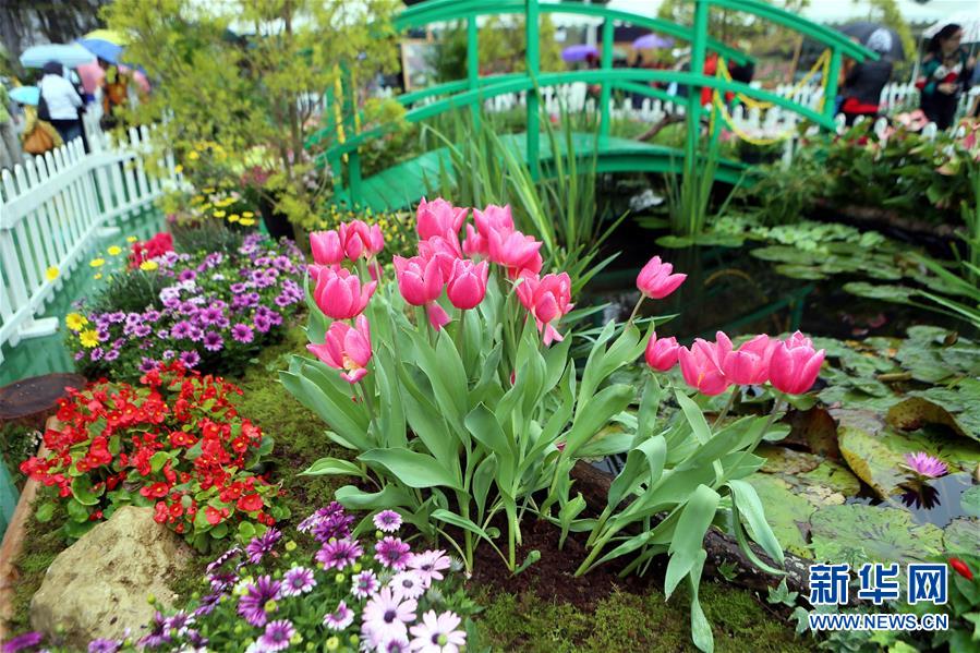 香港花卉展落幕