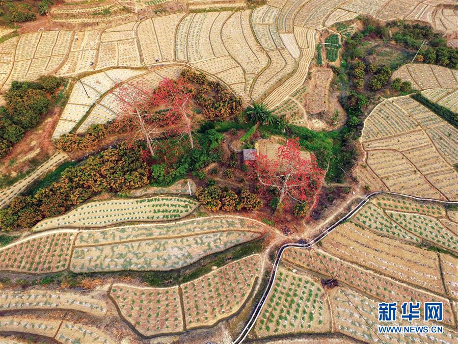 �Ϲ���԰����ͼ