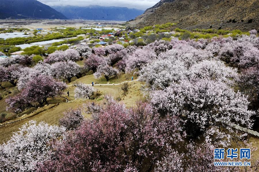 �����ؽ��ϡ����һ�