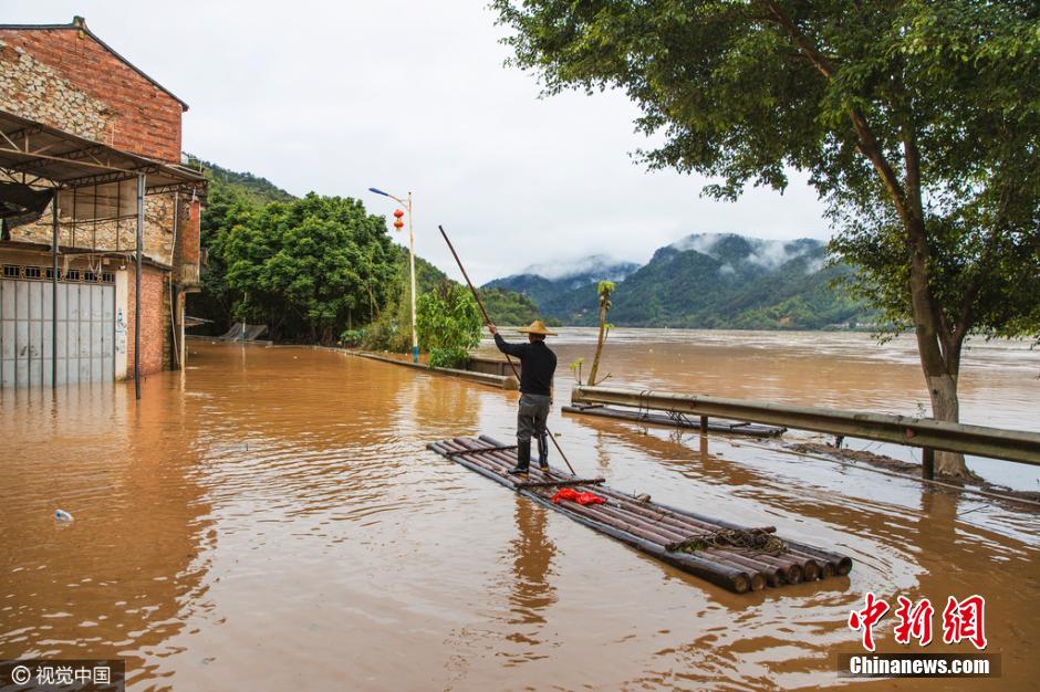 �㶫÷��ǿ����������