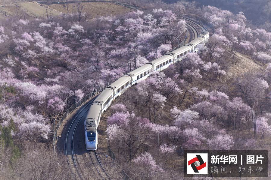 ��г�Ŵ�Խ��ӹ�ػ���