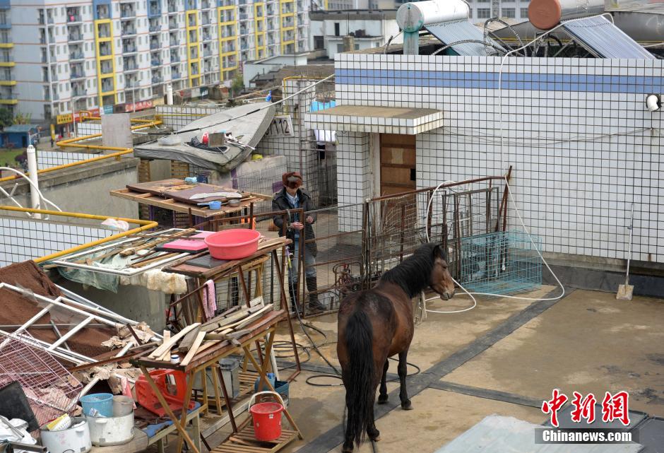 �����ݶ�����