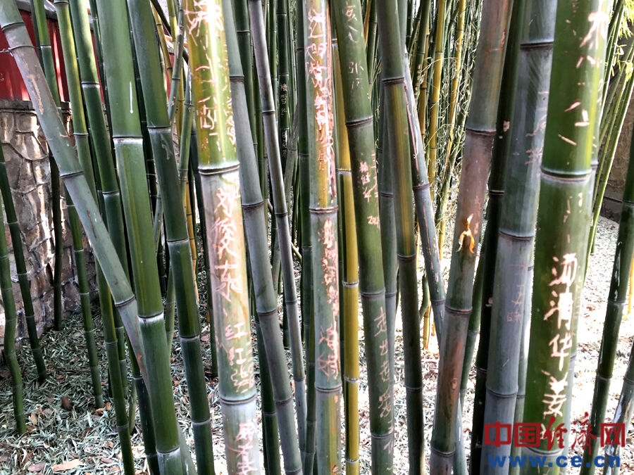 ̶�������ֲ����ƻ�