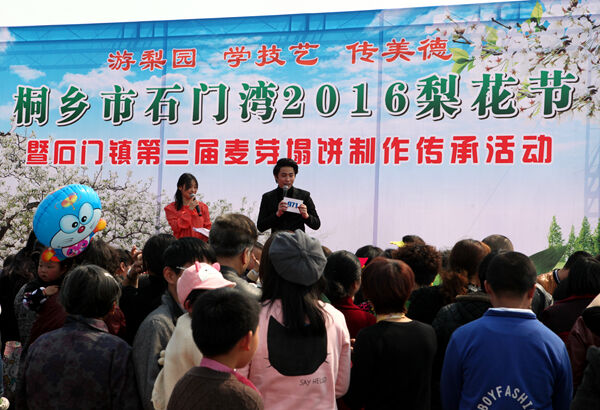 ͩ����ʯ����2016�滨�ڽ�����Ļ