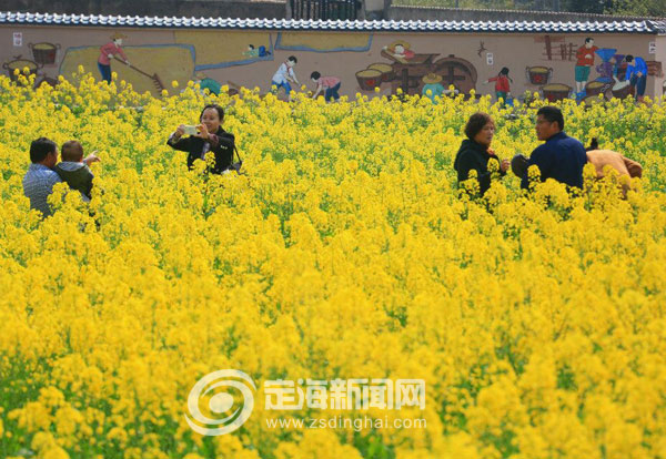 南洞艺谷举行首届油菜花节