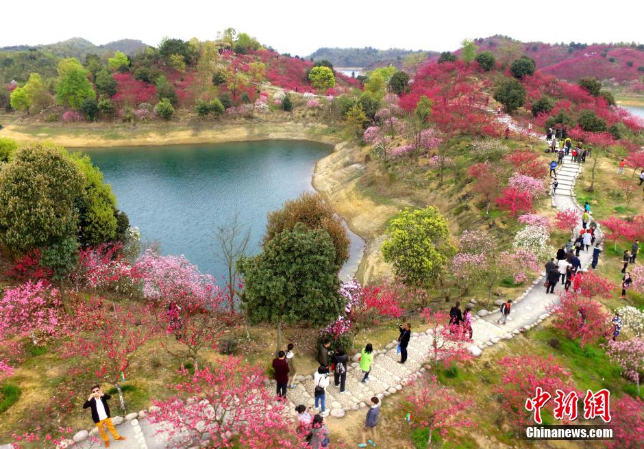 ����®ɽ�����䡰������