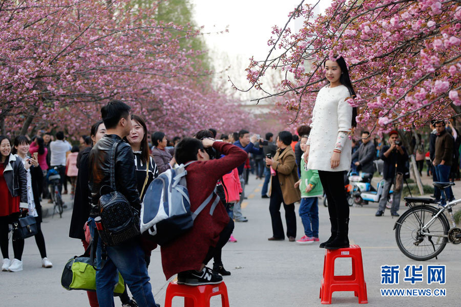 �й��Ƽ���ѧӣ������