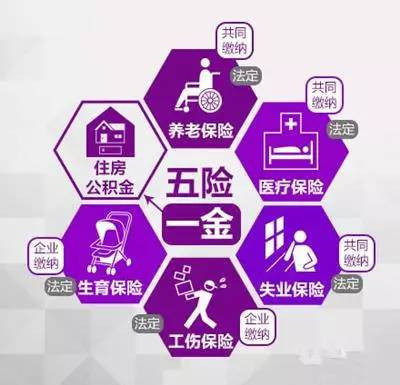 夏普比率公式_费用收入比率公式(3)