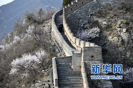 ������ӹ��