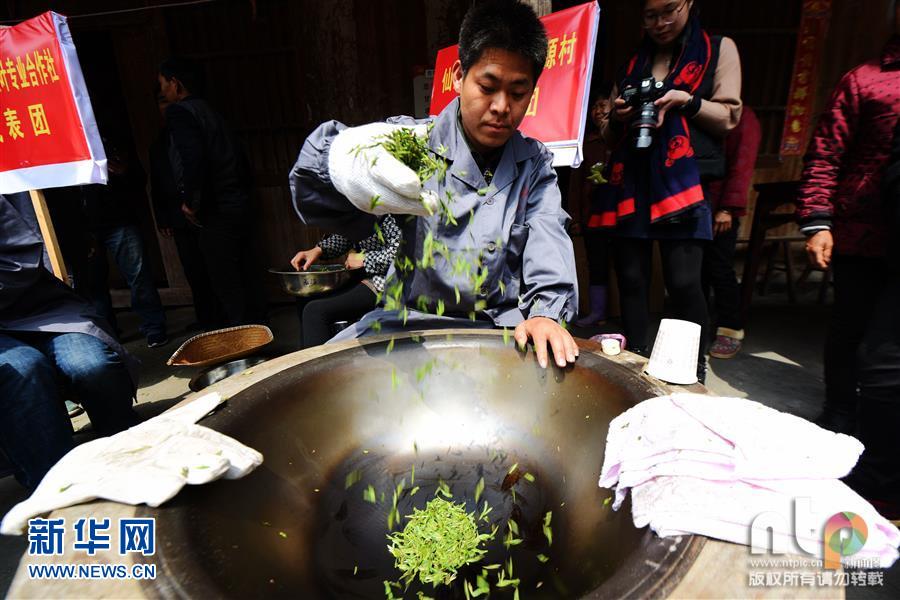 仙居斗茶大赛如火如荼