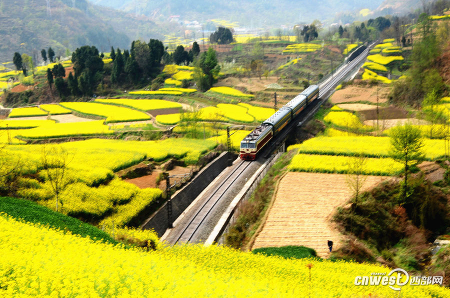 �������Ͳ˻������г�