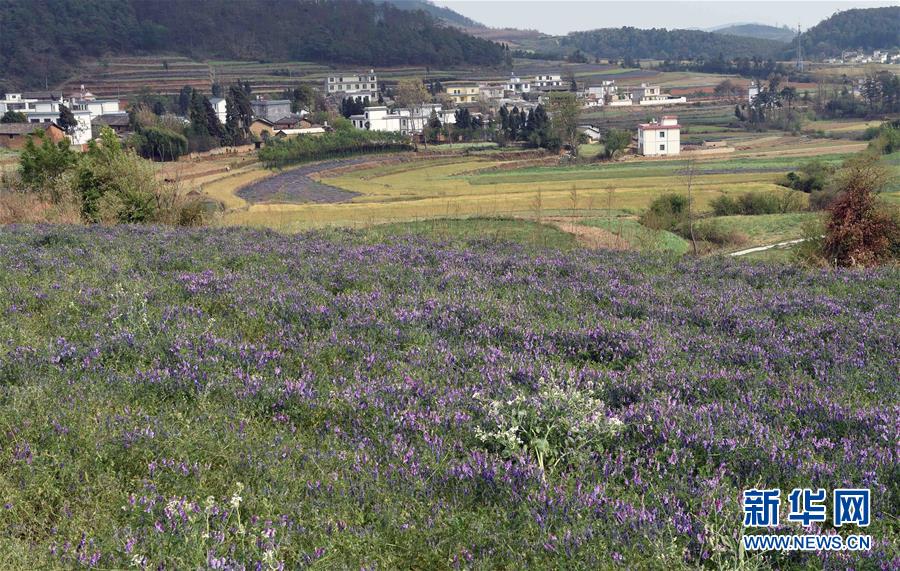 �������ϵ��������