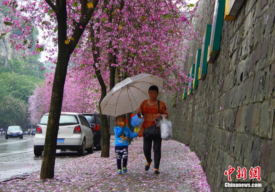 ���������仨�����ͷ�