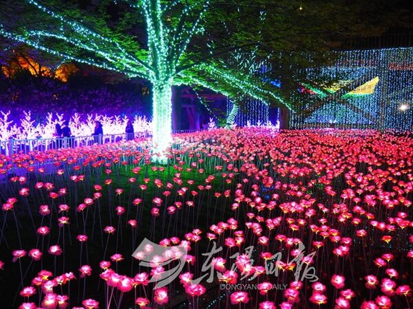 如繁星坠落 给你一片永不凋零的玫瑰花海