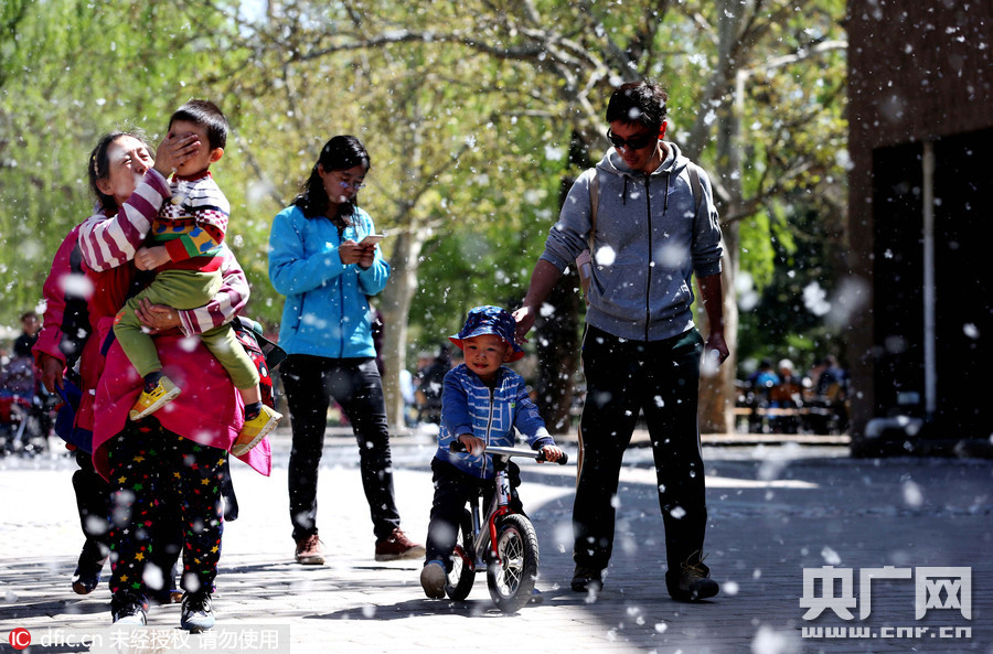 ����������������������