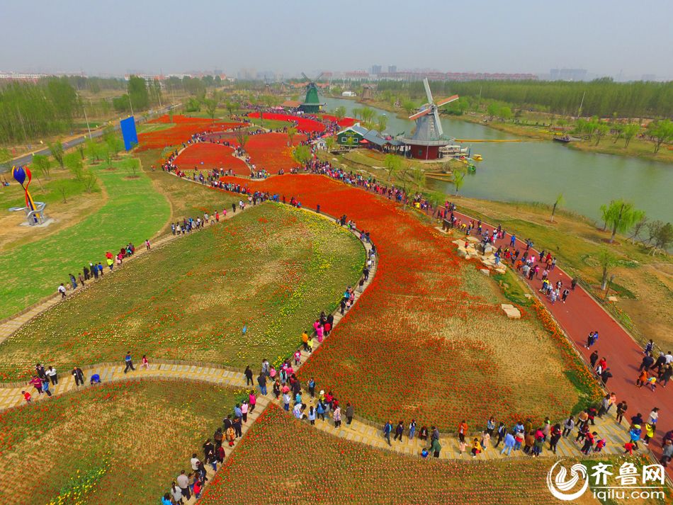 ����300��������������