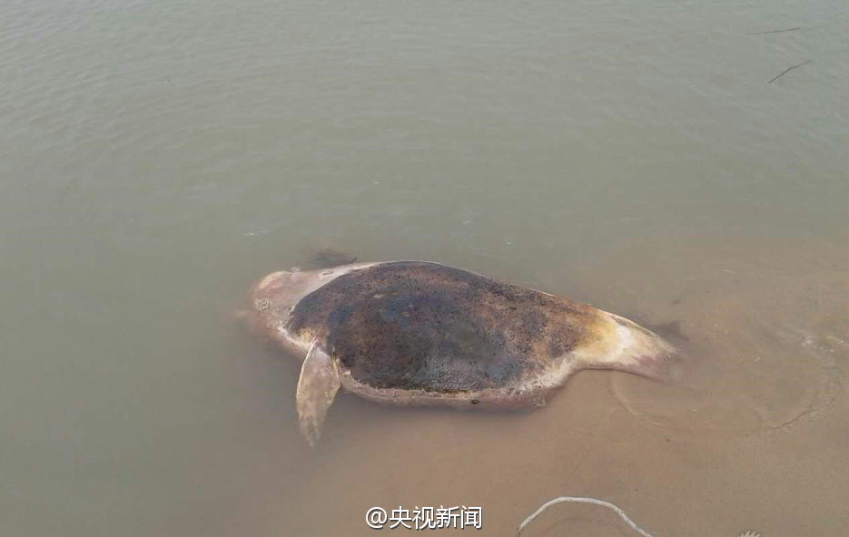 ۶��������6ͷ��������