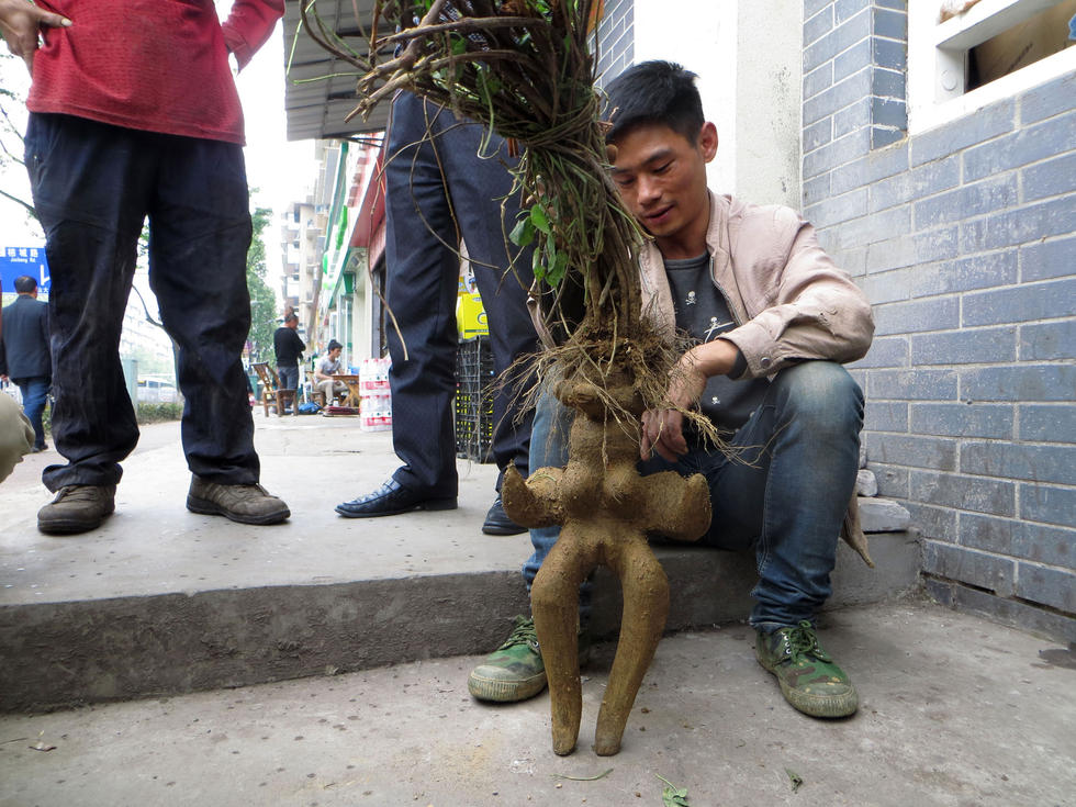 ���ӽ���