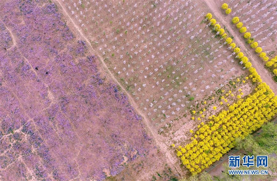 ĺ��̤�����һ�