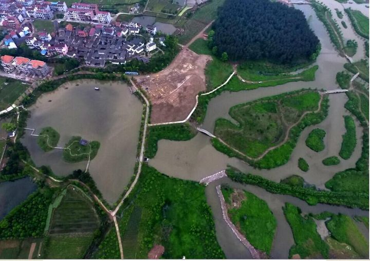 空中俯瞰武义江履坦段,头晚虽下过瀑雨河水不够清澈,但河滩湿地满眼