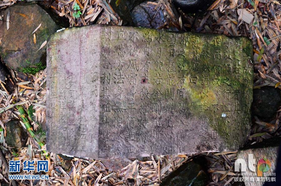 ���Ϸ��֡������֡���ַ