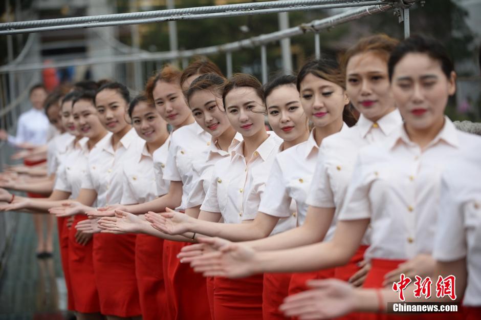 ����׼�ս㲣����������