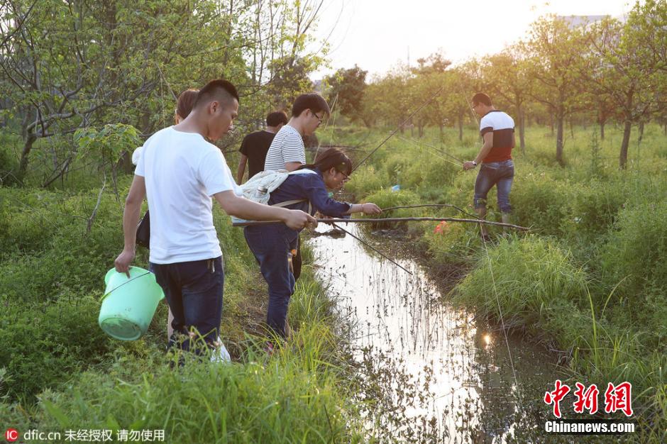 一高校学生校园垂钓龙虾
