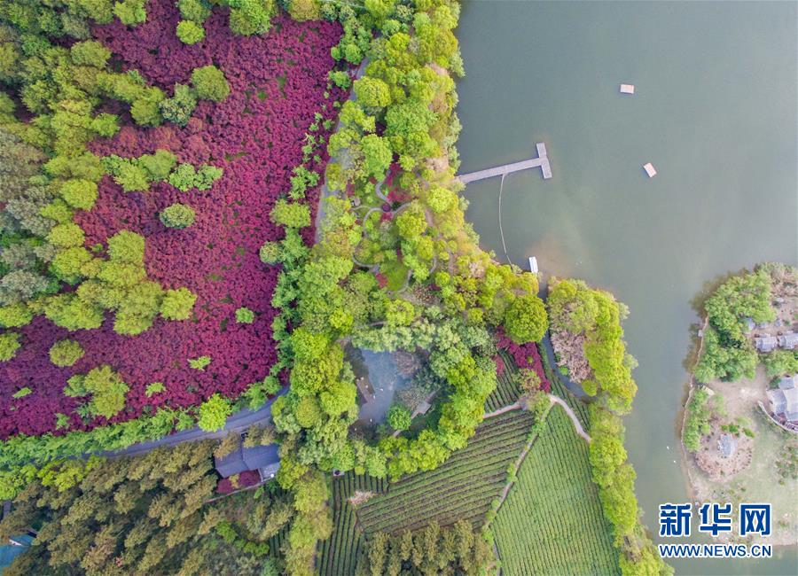 醉美中南百草原