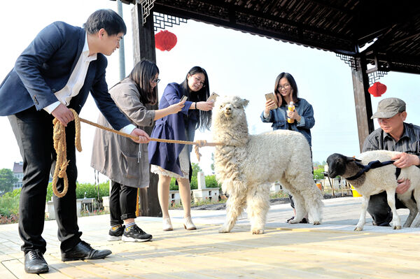 �����򡱵���