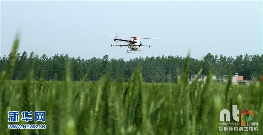 安徽蒙城出现植保无人机