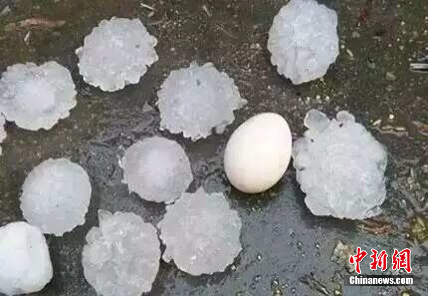 ������Ϫ��������Ϯ��