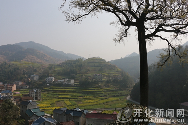 龙腾宋村",发展乡村休闲旅游,壮大首页 开化新闻 综合新闻