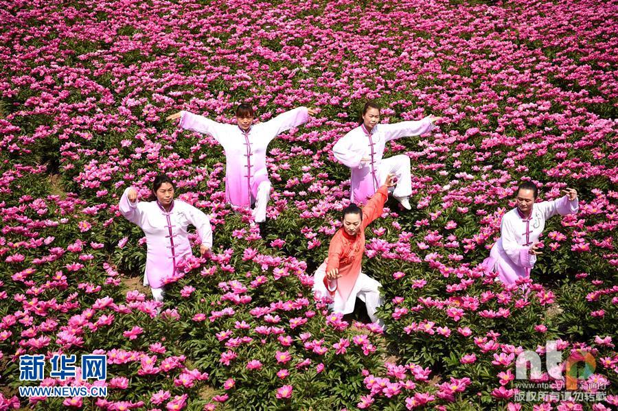 ������Ķ����չ������Ϸ