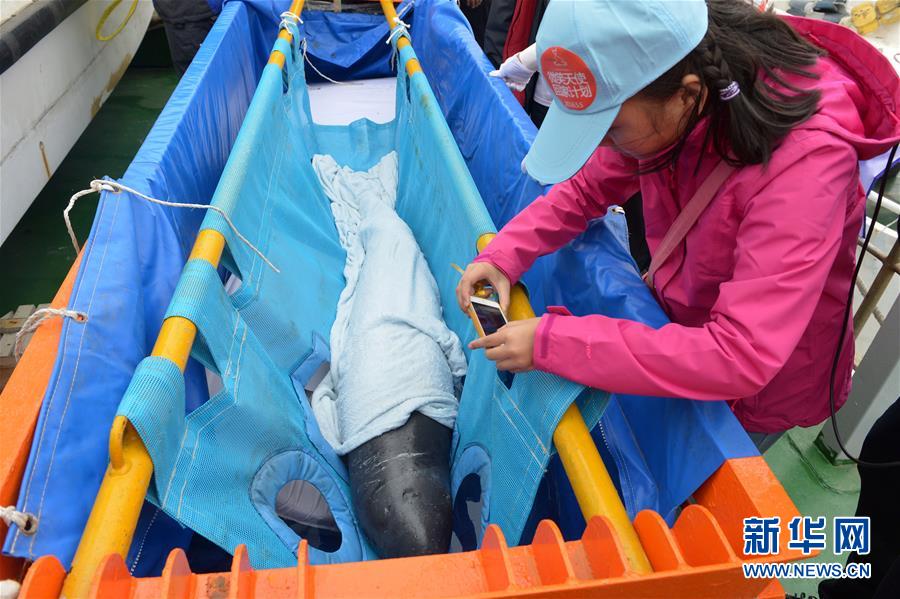 ��������Ƚ���