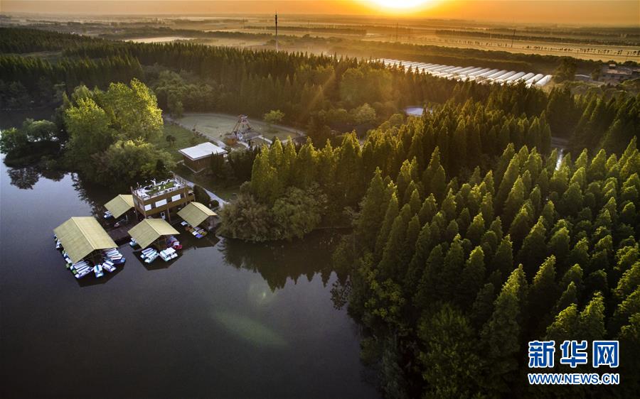 �Ϻ���ƽ����ɭ�ֹ�԰