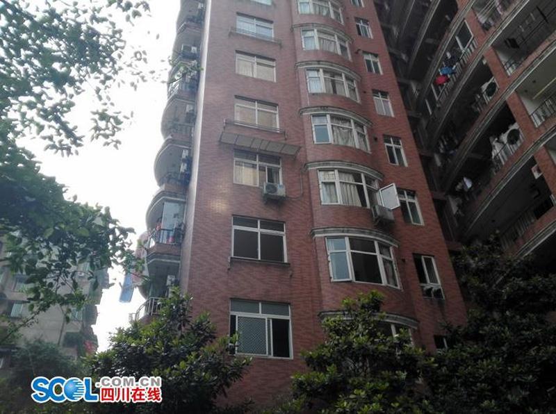 С���콵��9��Ԫ�ֽ�