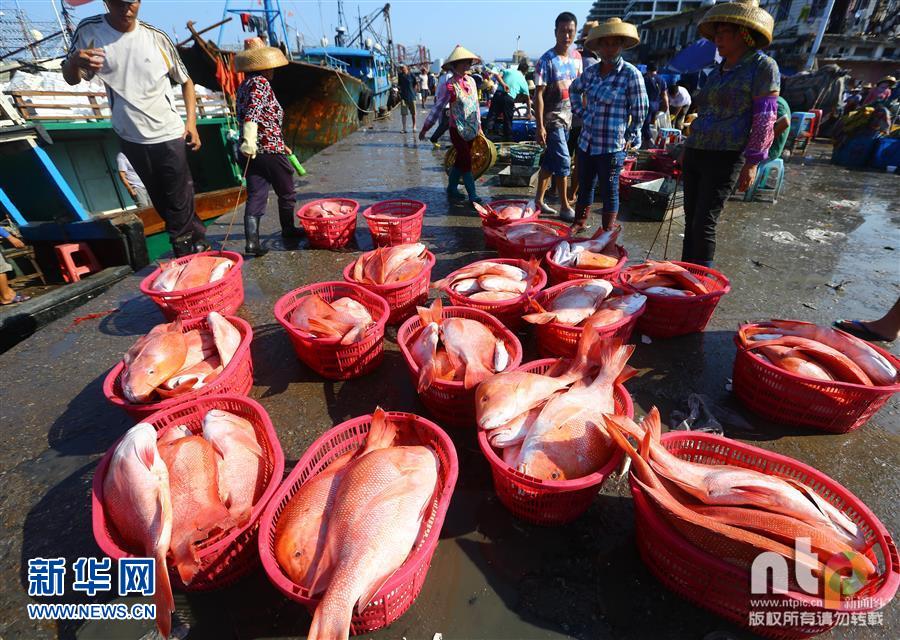 �Ϻ��������ڼ�