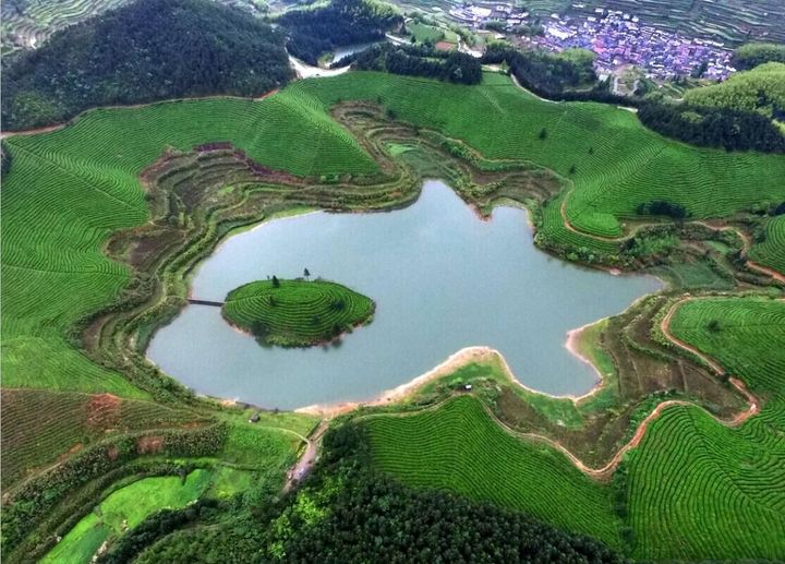 图为空中俯瞰武义县新宅镇大圆塘茶园山水相嵌,美景如画.