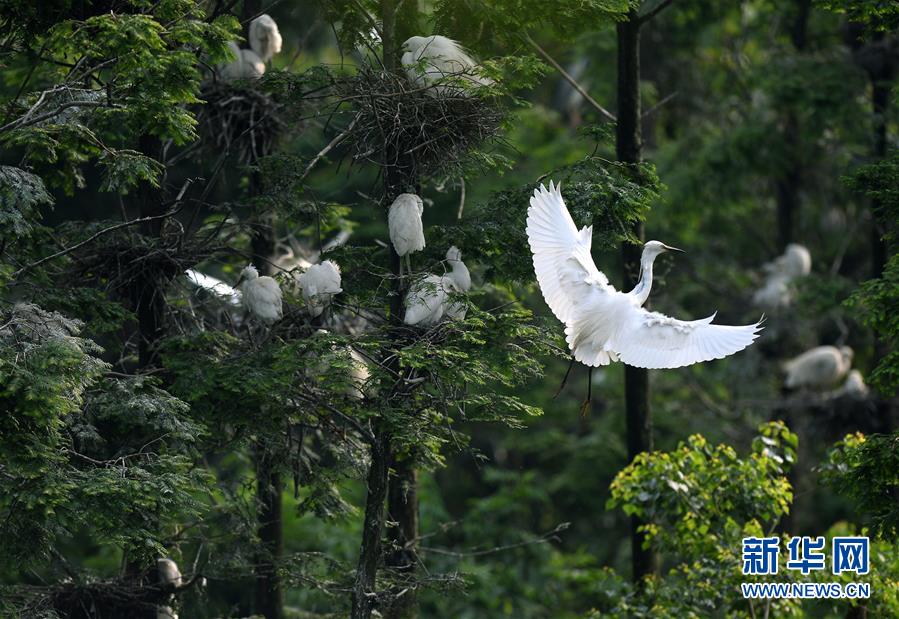 �����еġ�������԰��