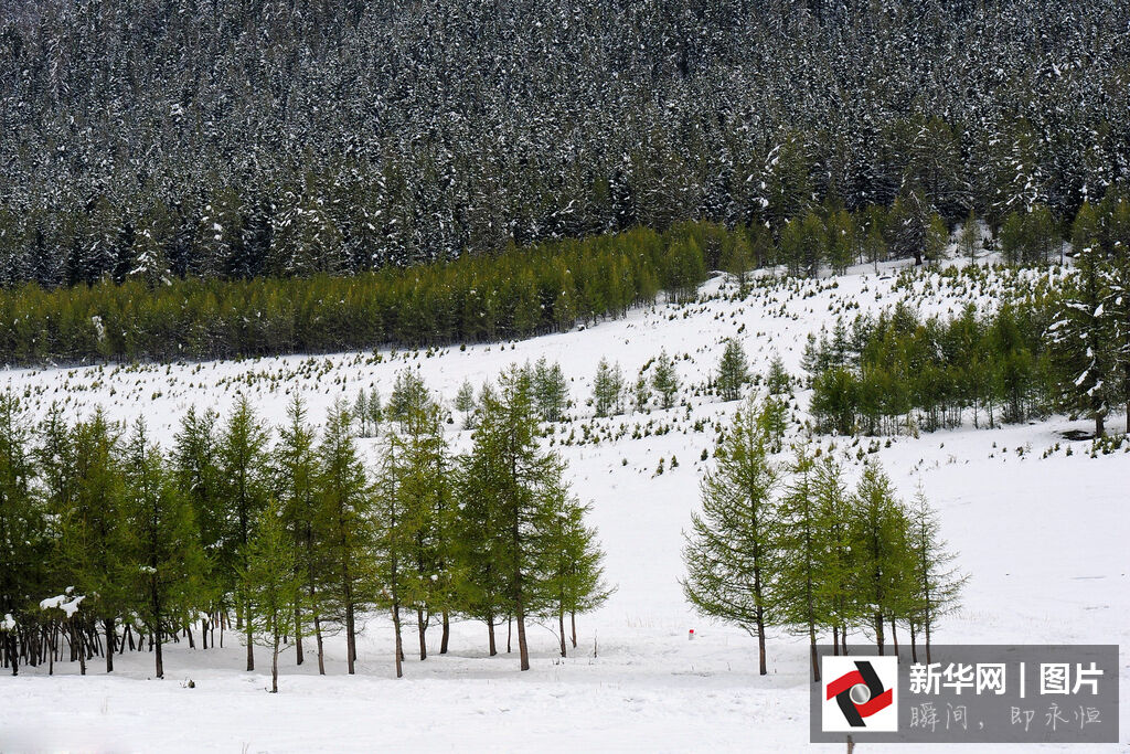 �½����ܳ���ѩ���续