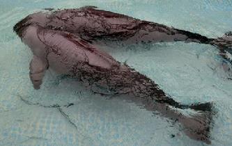 中国自然保护区60周年