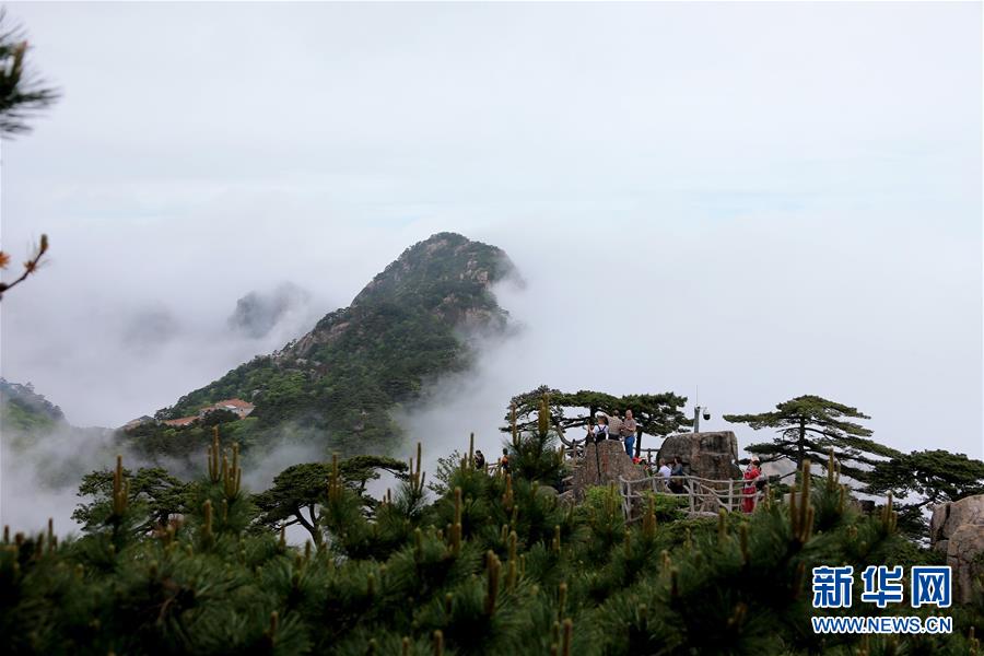 安徽黄山云海宛如仙境