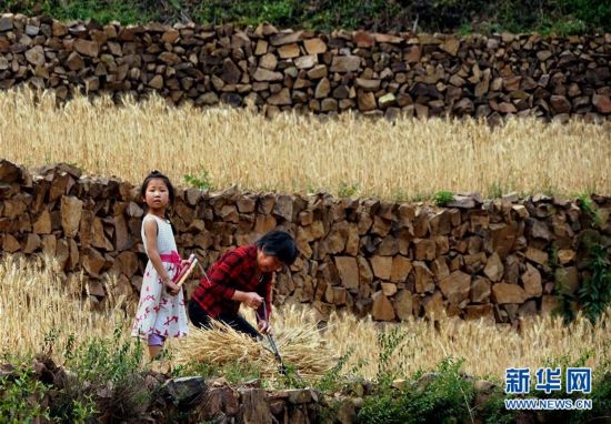 一个留守儿童的六一期盼