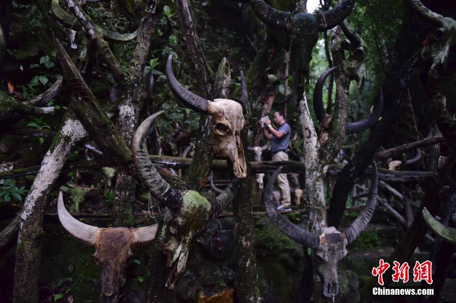 西盟佤族圣地“龙摩爷”