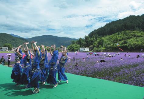 乐色如歌"石浦花海音乐节活动现场,游客们倘佯在花海中流连忘返.