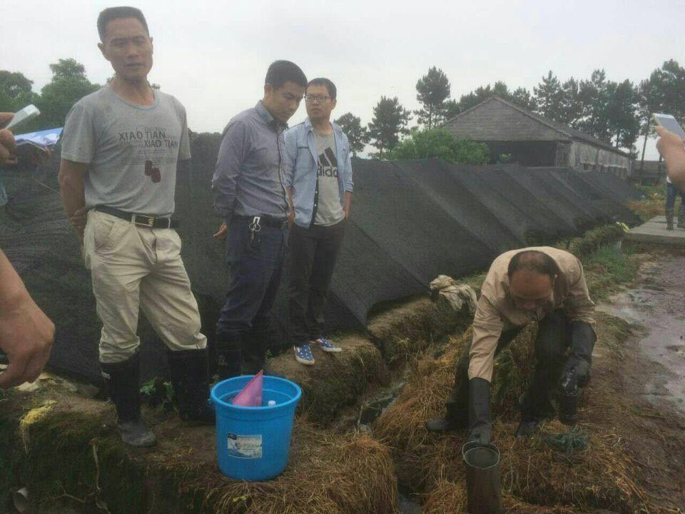 从重从快从高从严查处畜禽养殖污染 我市曝光