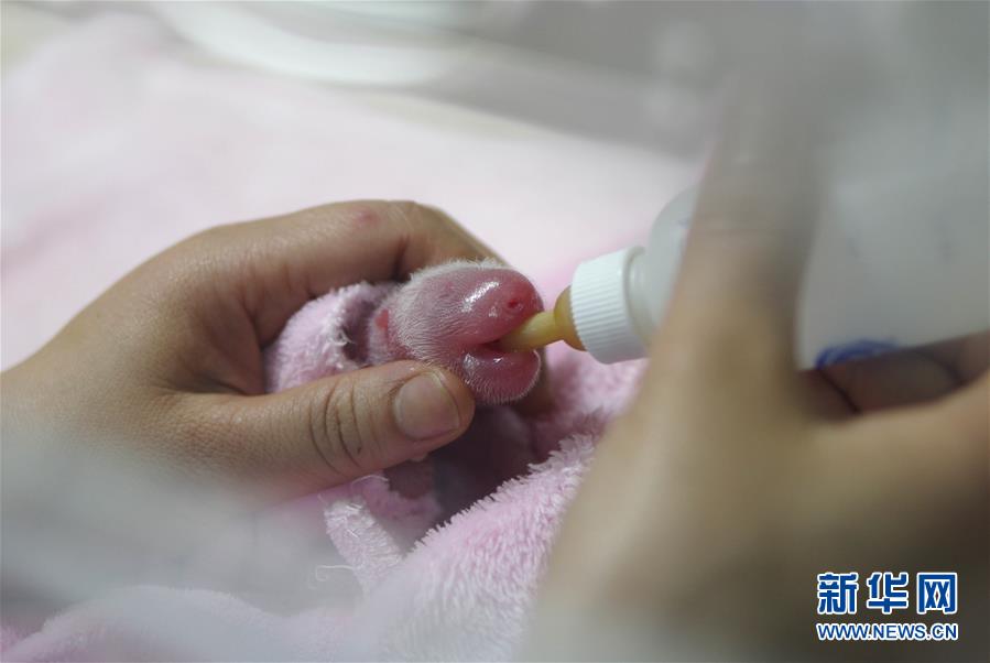 �������è÷�ϲ��ǧ��