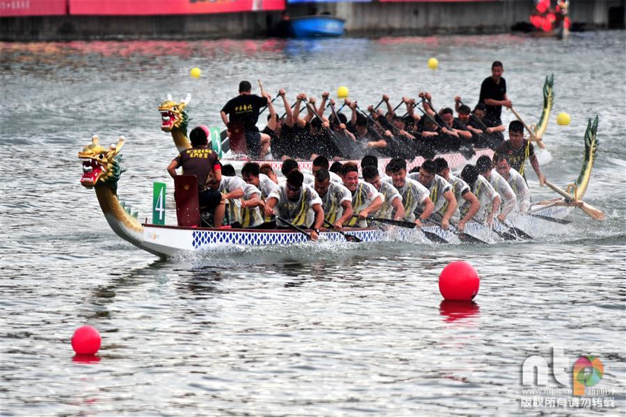 �����˲�����2016������