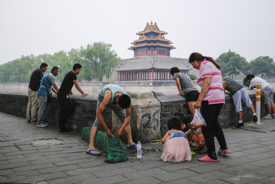 故宫护城河鱼苗遭捕捞