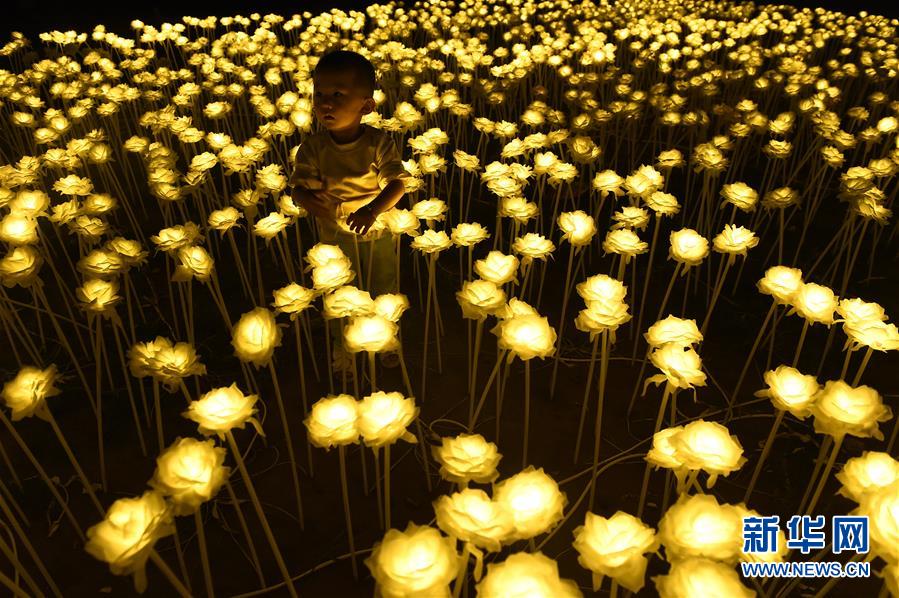 ̫ԭ���λõƹ���